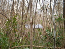 dsc00558